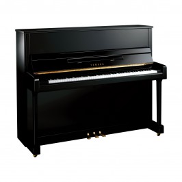 Yamaha B3